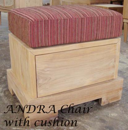 ANDRA Chair with cushion